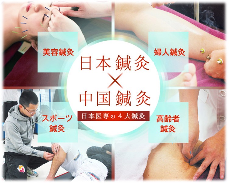 徹底解説！日本鍼灸と中国鍼灸の魅力