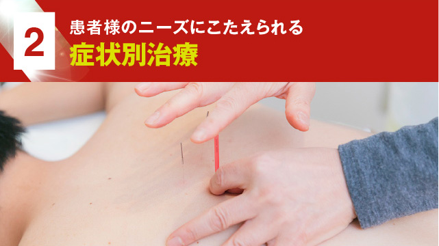 2 症状別治療